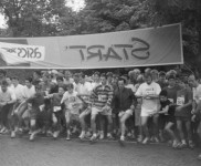 1992 AC75 Papendal 8262 640x449