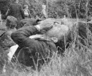 1942 Wellerlooi 3805 800x522