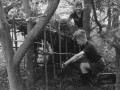 1947 Ossendrecht Vossen bouwen een hut 3835 800x516