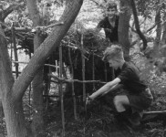 1947 Ossendrecht Vossen bouwen een hut 3835 800x516