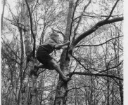 1959 Roothaan verkenner 3774 569x600