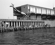 1961 ACkamp Weert 3933 800x493