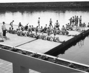 1961 ACkamp Weert 3937 800x516