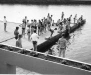 1961 ACkamp Weert 3938 800x502